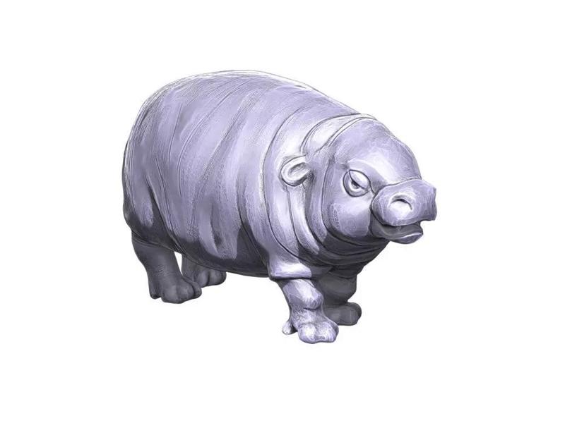 Moo Den Baby  Pigmy Hippopotamus