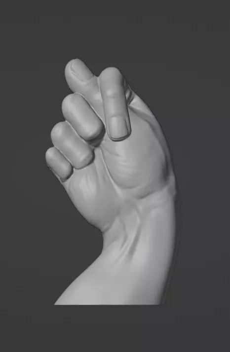Realistic Hand Gesture Art