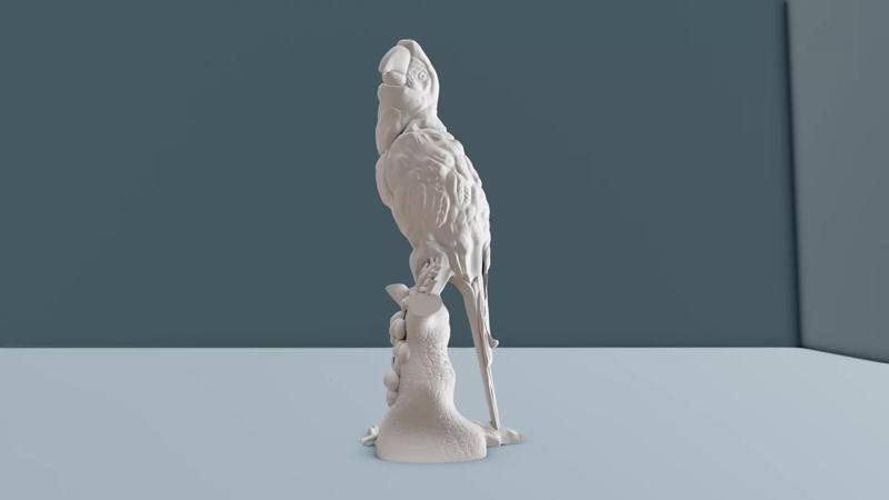 Macaw sculpture stl 3d print file