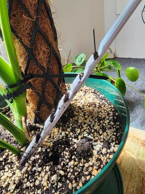 Soil Moisture Level Indicator and Aerator