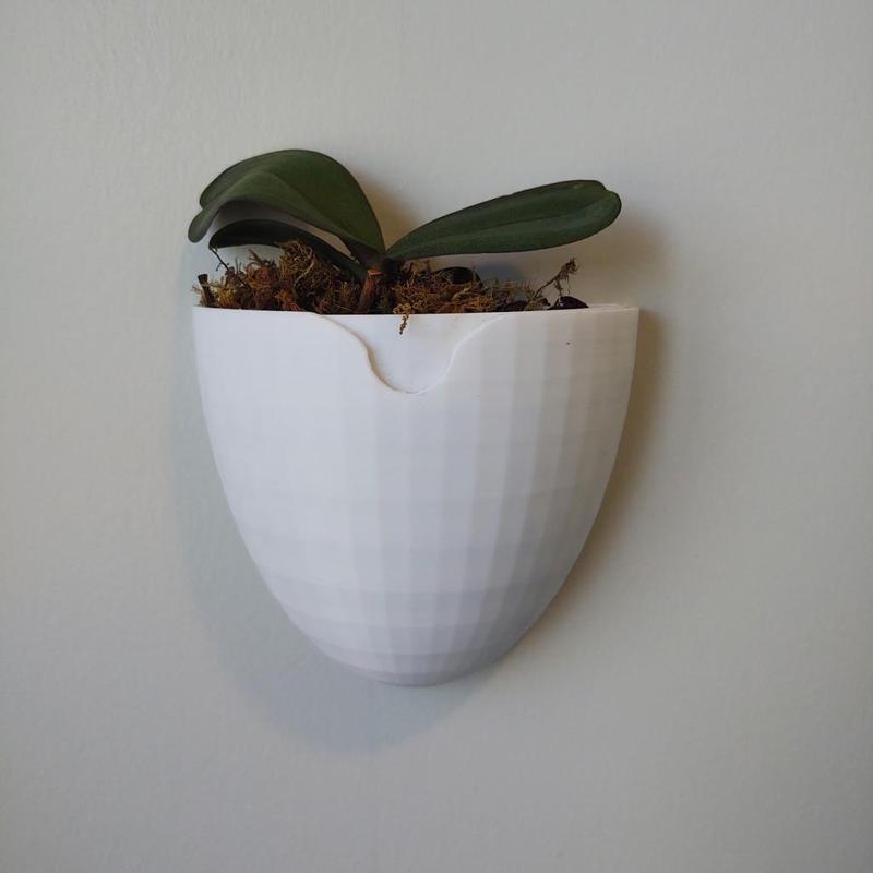 Orchid Wall Planter