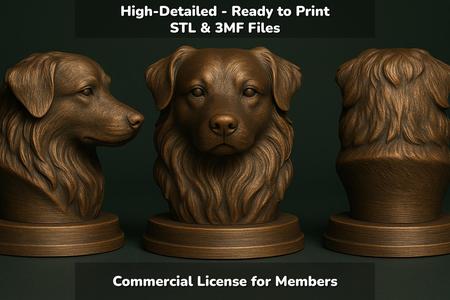 FREE - Australian Shepherd Dog Bust - 3D Printable STL 3MF - Pet Memorial Statue