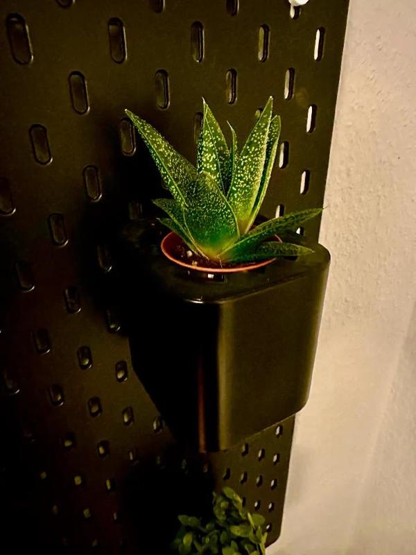 Ikea Skadis Plant Adapter   