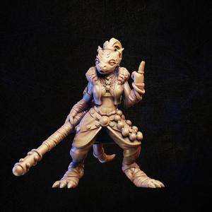 Monk dragonborn