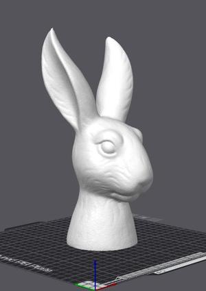 Rabbit Head
