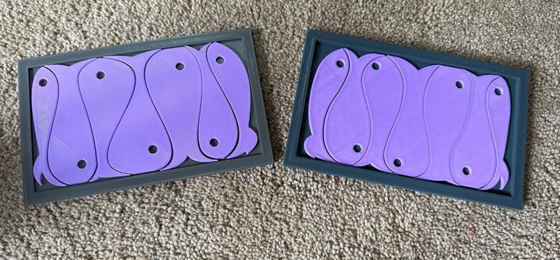 Survivor Fish Puzzle