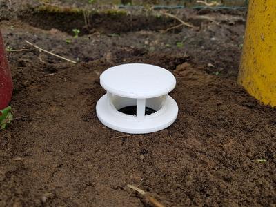 snail and slug pitfall