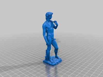 Michaelangelo's David's Boner