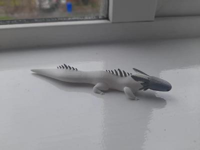 White lizard (Rain world)   