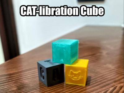 CATlibration Cube ( Cat Calibration Cube)