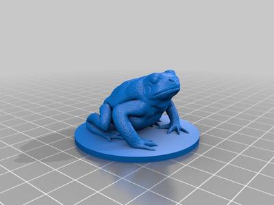 giant toad