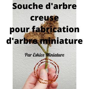 Souche d'arbre creuse