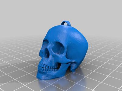anatomically correct skull keychain