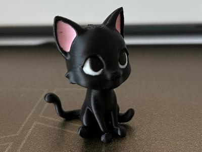 cute little black kitten