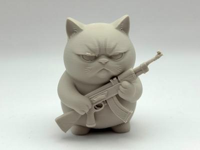Grumpy Rifle Kitten