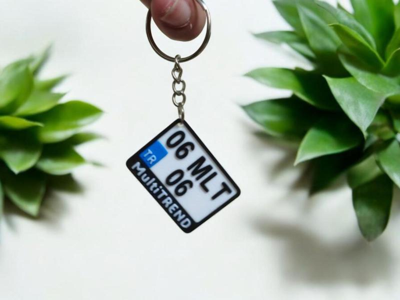 Motorcycle plate keychain