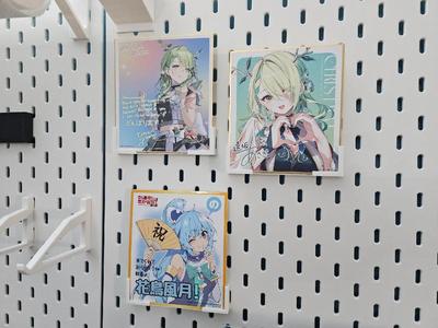 Skadis Shikishi Board Mount   