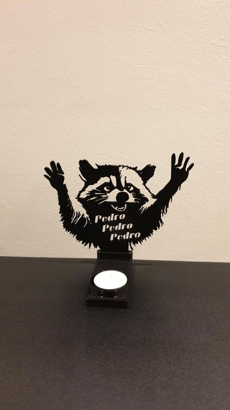 Shadow Art Decoration - Racoon Pedro