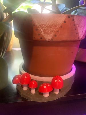 Mushroom Drip Tray 