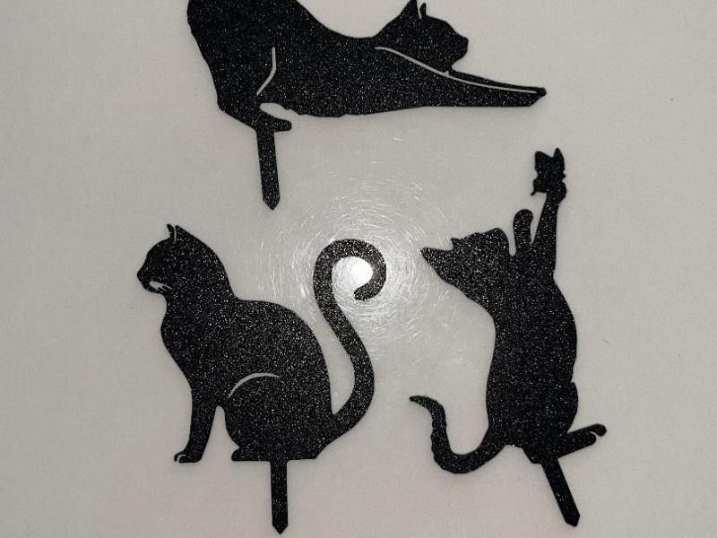 Chat Jardin ou fleurs