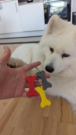 Dog Bone Whistle Keychain