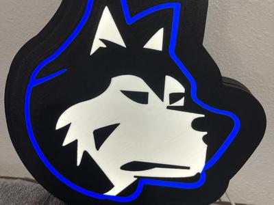Husky Light box