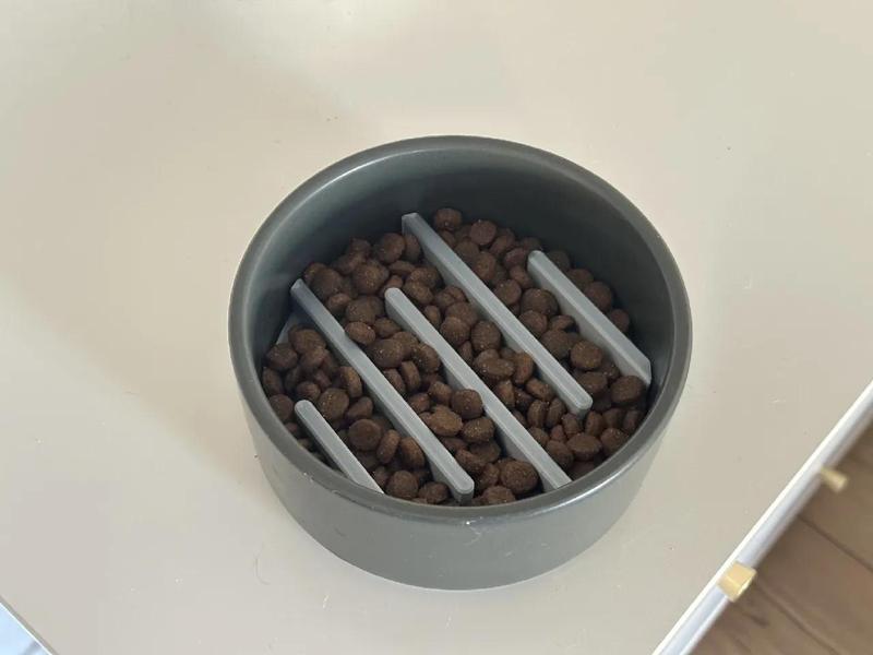 Feeding slower for dogs   