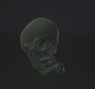 skull