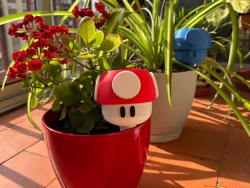 Mario's Super Mushroom Plant Watering Globe
