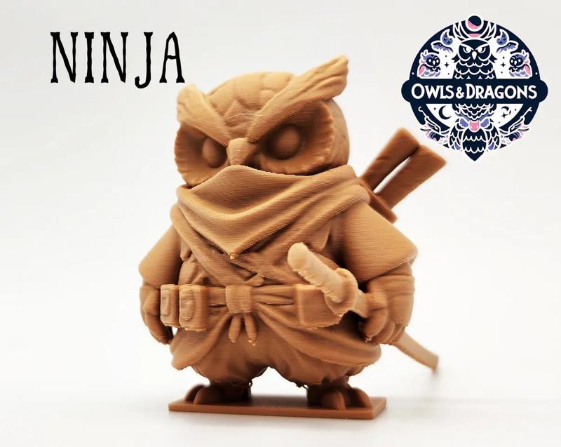 The Ninja - Owls & Dragons   