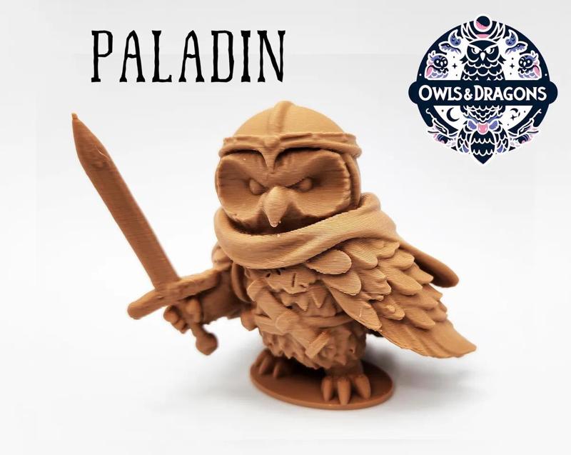 The Paladin - Owls & Dragons   