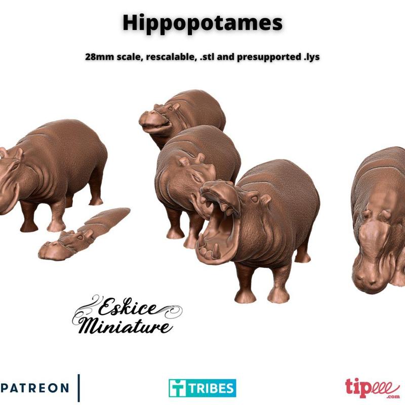 Hippos x6 - 28mm