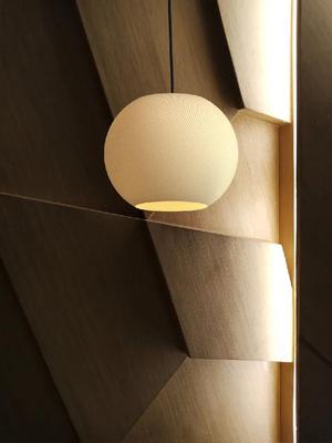 Organic Flow Pendant Lamp   
