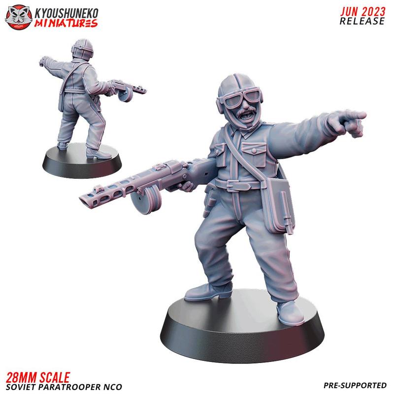 Non Commission Officer Soviet Paratrooper ww2