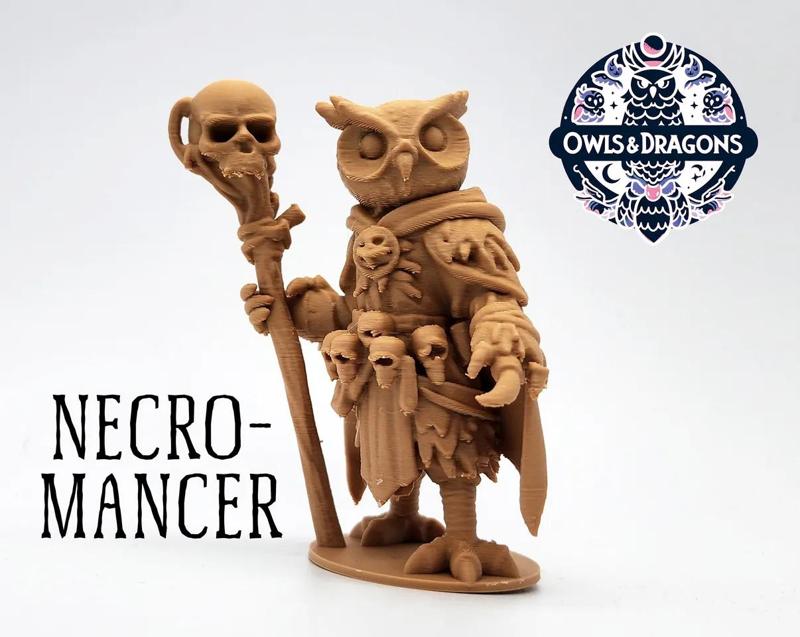 The Necromancer - Owls & Dragons   