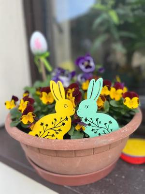 Easter bunny   