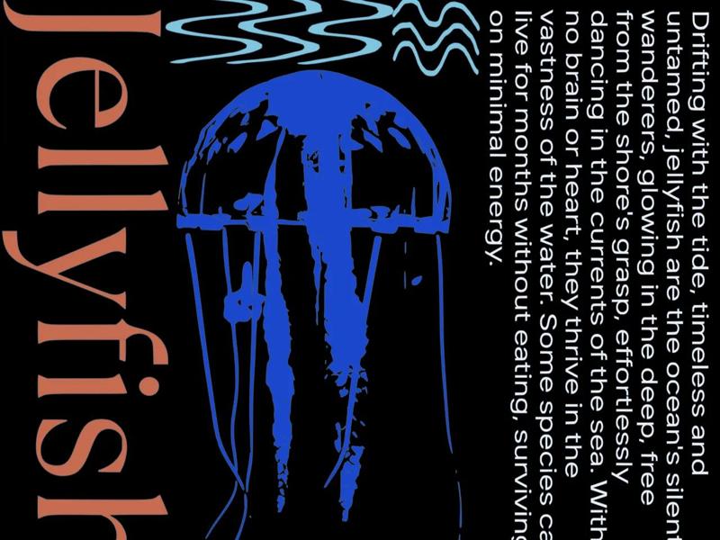 Jellyfish Modern Design – Wall Plate   