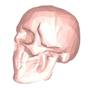 Skull low poly