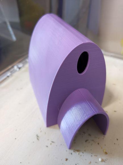 Dwarf Hamster House