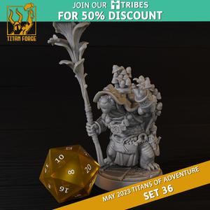 Tortle Male Druid - RPG Hero Character D&D 5e - Titans of Adventure Set 36