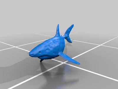 Shark Scan