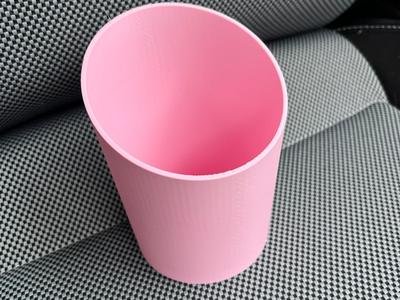 Car Bin