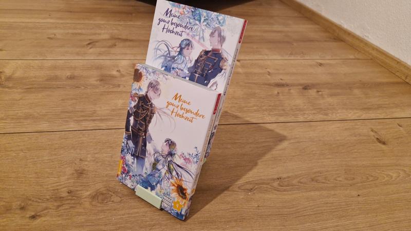 Manga dual display standy