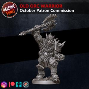 Loyalty Reward 03 Months - Old Orc Warrior