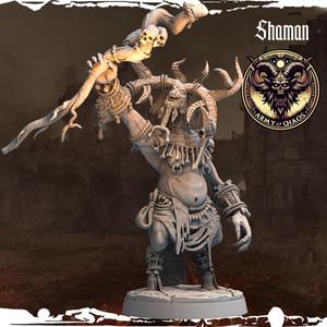 Shaman - Army of Chaos: Beasts