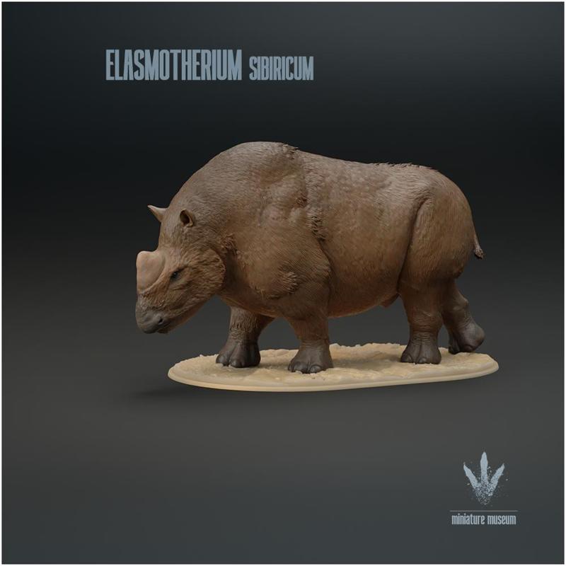 Elasmotherium sibiricum : The Siberian Unicorn