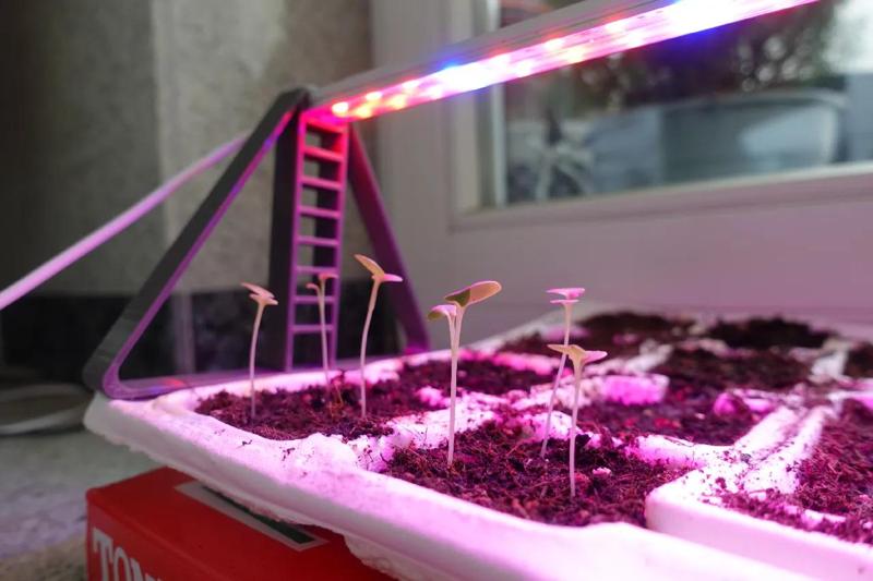 LED Holder for Plant Propagation   