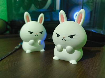 Cute little Angry Bunny