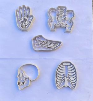 Cookie cutter Human bones x5