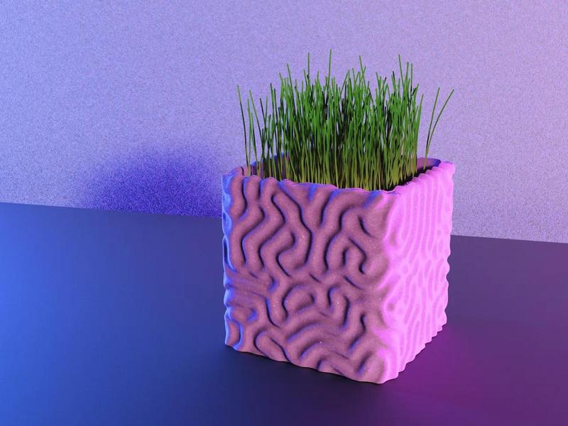 Square Coral Planter   